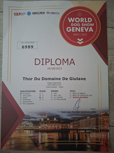 Diplom Thor — World Dog Show Genève, 2023