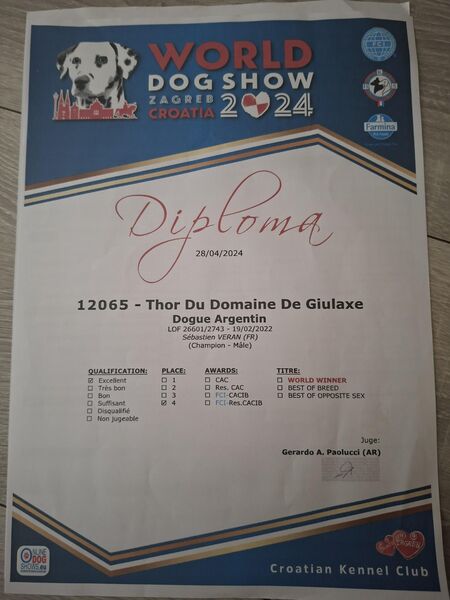 Diplom Thor — World Dog Show Zagreb, 2024
