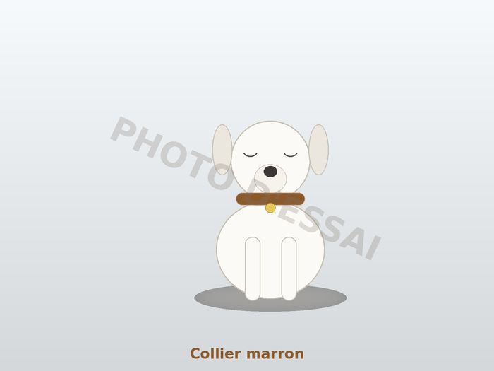Collier marron, chiot Dogue Argentin