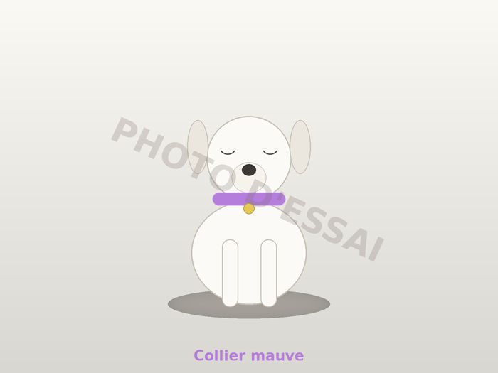 Collier mauve, chiot Dogue Argentin