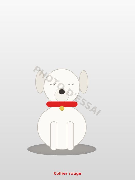 Collier rouge — 25 septembre 2027, chiot Dogue Argentin