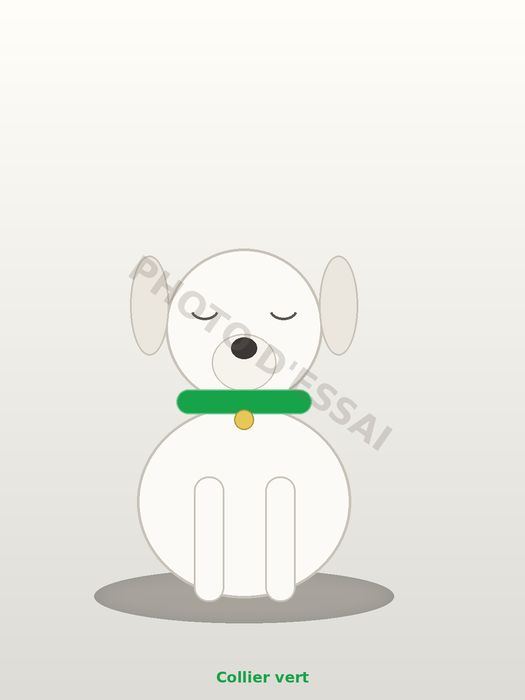 Collier vert — 25 septembre 2027, chiot Dogue Argentin