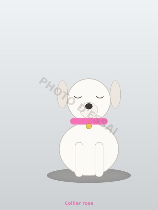 Collier rose — 29 septembre 2027, chiot Dogue Argentin