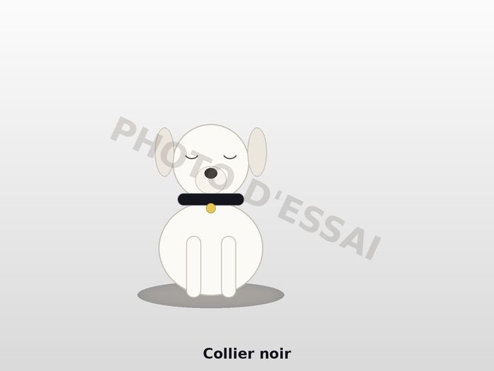 Collier noir — 6 octobre 2027, chiot Dogue Argentin
