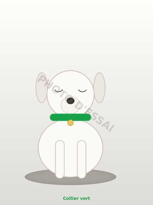 Collier vert — 6 octobre 2027, chiot Dogue Argentin