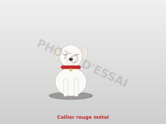 Collier rouge métal — 13 octobre 2027, chiot Dogue Argentin