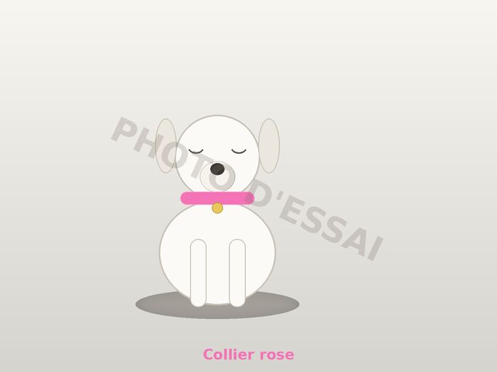 Collier rose — 13 octobre 2027, chiot Dogue Argentin