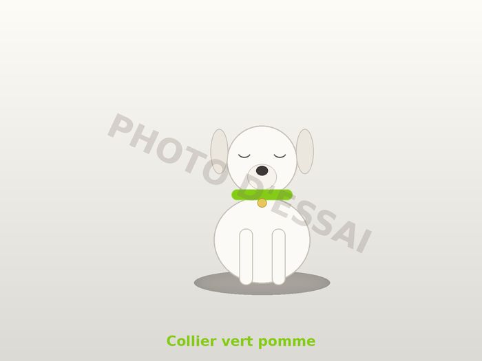 Collier vert pomme — 13 octobre 2027, chiot Dogue Argentin