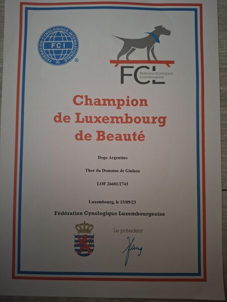Diplôme de Thor — Champion du Luxembourg de beauté, 2023