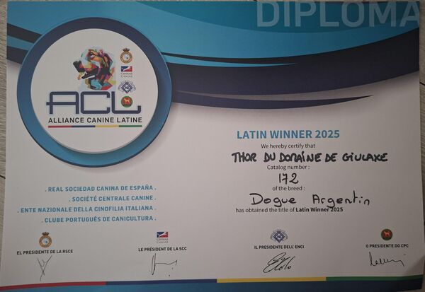Diplôme de Thor — Latin Winner, 2025