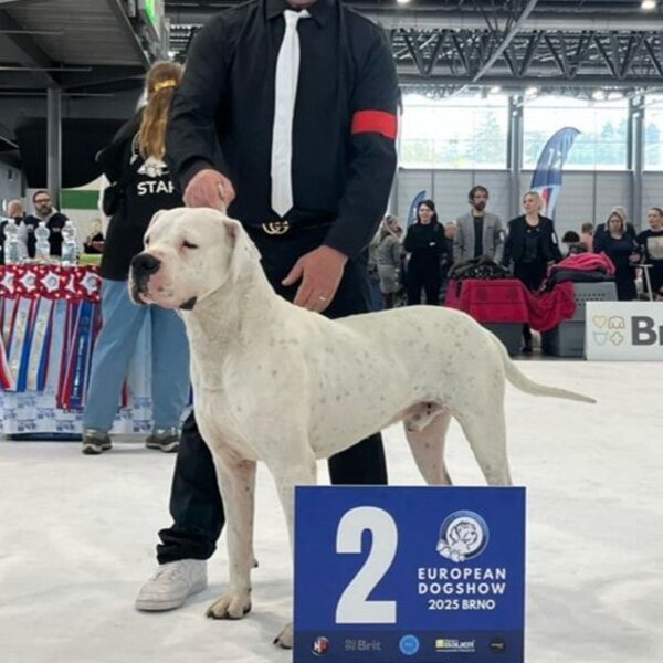Thor — Avril 2025 — vice-champion d'Europe à Brno